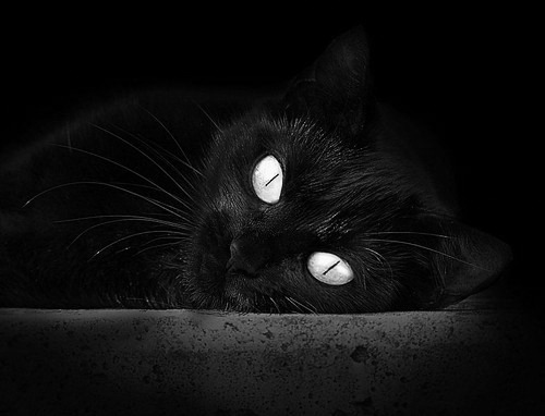 开云体育官方网站-劳塔罗末节封神！马竞主场惊魂夜，国米锋霸接管生死时刻